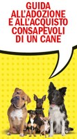  Guida all'adozione e all'acquisto consapevole di un cane