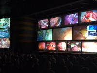 2 dicembre 2019 - DUE INTERVENTI IN DIRETTA DA FERRARA VERSO ROMA. “CHIRURGIA 1” SALE SUGLI SCUDI