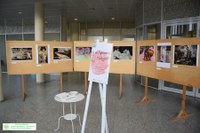 “SEI UN CAPOLAVORO. PROTEGGITI”. UNA MOSTRA DEGLI STUDENTI DI MEDICINA SULLA PREVENZIONE DEL TUMORE AL SENO   