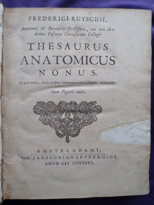 A CONA SI PARLA DI MEDICINA DI GENERE: UN CONVEGNO GIOVEDI’ 13 IN AULA MAGNA