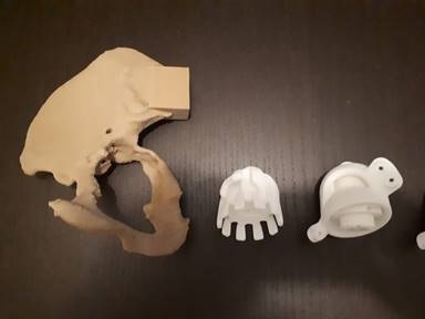 foto 1 ortopedia.jpg