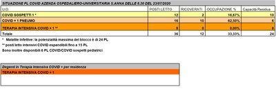 Situazione posti letto reparti Covid - 23 luglio 2020 - ore 8.30.jpg
