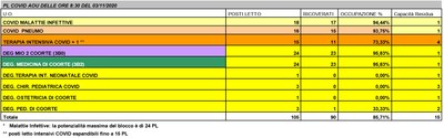 Situazione posti letto reparti Covid - 3 novembre 2020 - ore 8.30.jpg