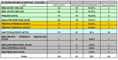 Situazione posti letto reparti Covid 13 febbraio 2021 - ore 8.30.jpg