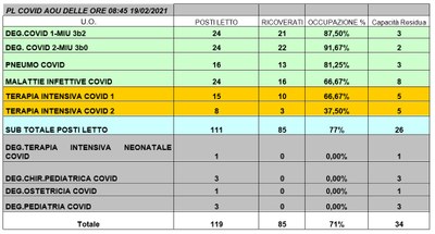 Situazione posti letto reparti Covid 19 febbraio 2021 - ore 8.45.jpg