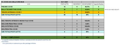 Situazione posti letto reparti Covid 2 novembre 2021 - ore 8.30.jpg
