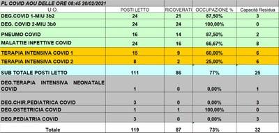 Situazione posti letto reparti Covid 20 febbraio 2021 - ore 8.45.jpg