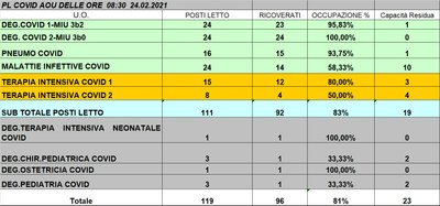 Situazione posti letto reparti Covid 24 febbraio 2021 - ore 8.30.jpg