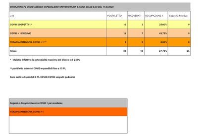 Situazione posti letto reparti Covid - 11 Agosto 2020 - ore 8.30