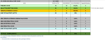 Situazione posti letto reparti Covid 14 novembre 2021 - ore 8.45.jpg