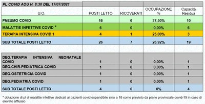 Situazione posti letto reparti Covid 17 luglio 2021 - ore 8.30.jpg