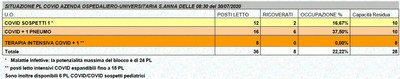 Situazione posti letto reparti Covid - 30 luglio 2020 - ore 8.30