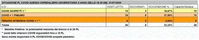 Situazione posti letto reparti Covid - 31 luglio 2020 - ore 18.30