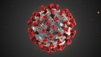 coronavirus.jpg coronavirus.jpg