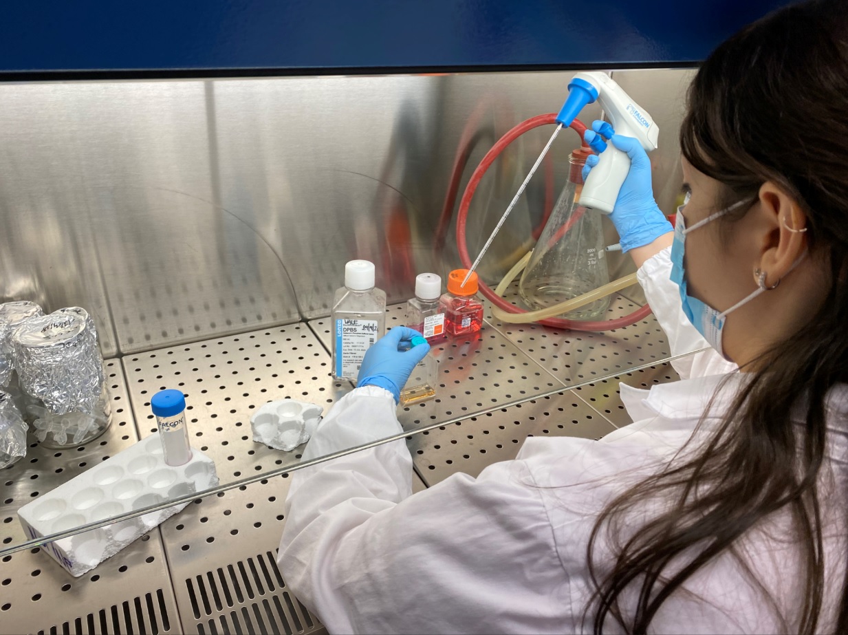 COVID-19. TEAM UNIFE - S. ANNA INDAGA L'INFEZIONE NEL TRATTO GASTROENTERICO E LE INTERAZIONI CON IL SISTEMA IMMUNITARIO