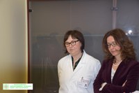 5 aprile 2018 conferenza stampa esteticamente DH  (60).JPG