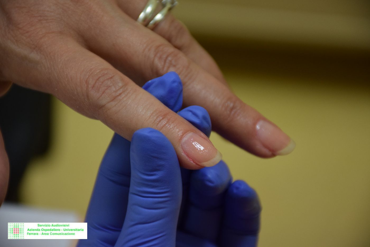 5 aprile 2018 conferenza stampa esteticamente DH  (95).JPG