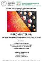 Seminario - Fibromi uterini: Inquadramento diagnostico e gestione. (31 gennaio 2019 ore 11.00))