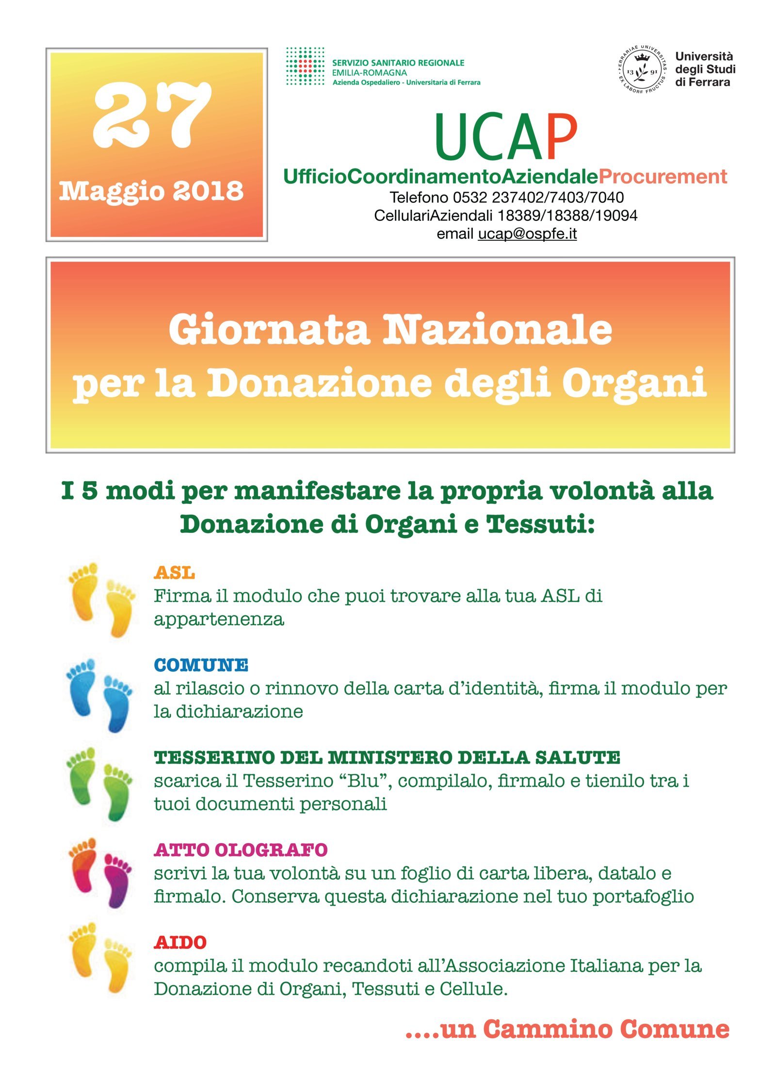 GIORNATA NAZIONALE DELLA DONAZIONE DI ORGANI E TESSUTI. LE INIZIATIVE AL SANT’ANNA   
