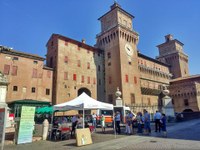 ICTUS E FIBRILLAZIONE ATRIALE. SABATO 22 GIUGNO A FERRARA “ASCOLTA IL TUO CUORE PER SALVARE IL TUO CERVELLO”. COME RICONOSCERE LA FIBRILLAZIONE ATRIALE