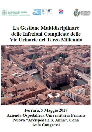 La Gestione Multidisciplinare delle Infezioni Complicate delle Vie Urinarie nel Terzo Millennio