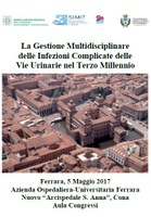 La Gestione Multidisciplinare delle Infezioni Complicate delle Vie Urinarie nel Terzo Millennio