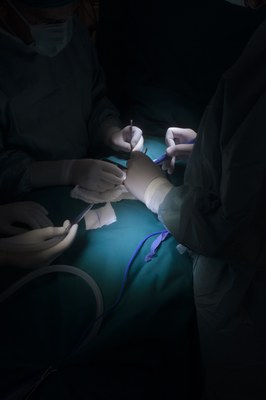 Ph_Marcello Bonfanti14.jpg