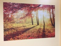 onconauti radioterapia (7).JPG