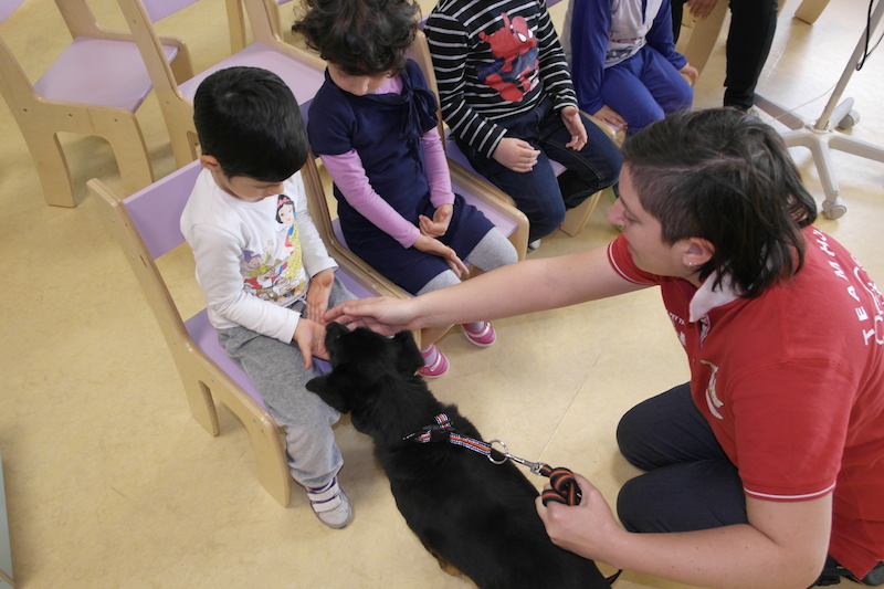 PET THERAPY, CONCLUSA L’ESPERIENZA A CONA