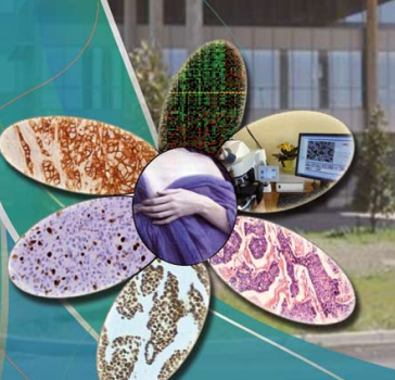 RIUNIONE del GRUPPO ITALIANO di STUDIO di PATOLOGIA MAMMARIA (GIPaM)