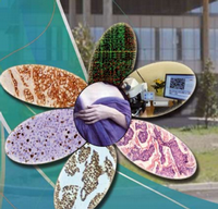 RIUNIONE del GRUPPO ITALIANO di STUDIO di PATOLOGIA MAMMARIA (GIPaM)