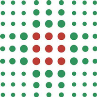 Sabato 25 maggio un incontro dibattito sul tema dell'Epilessia