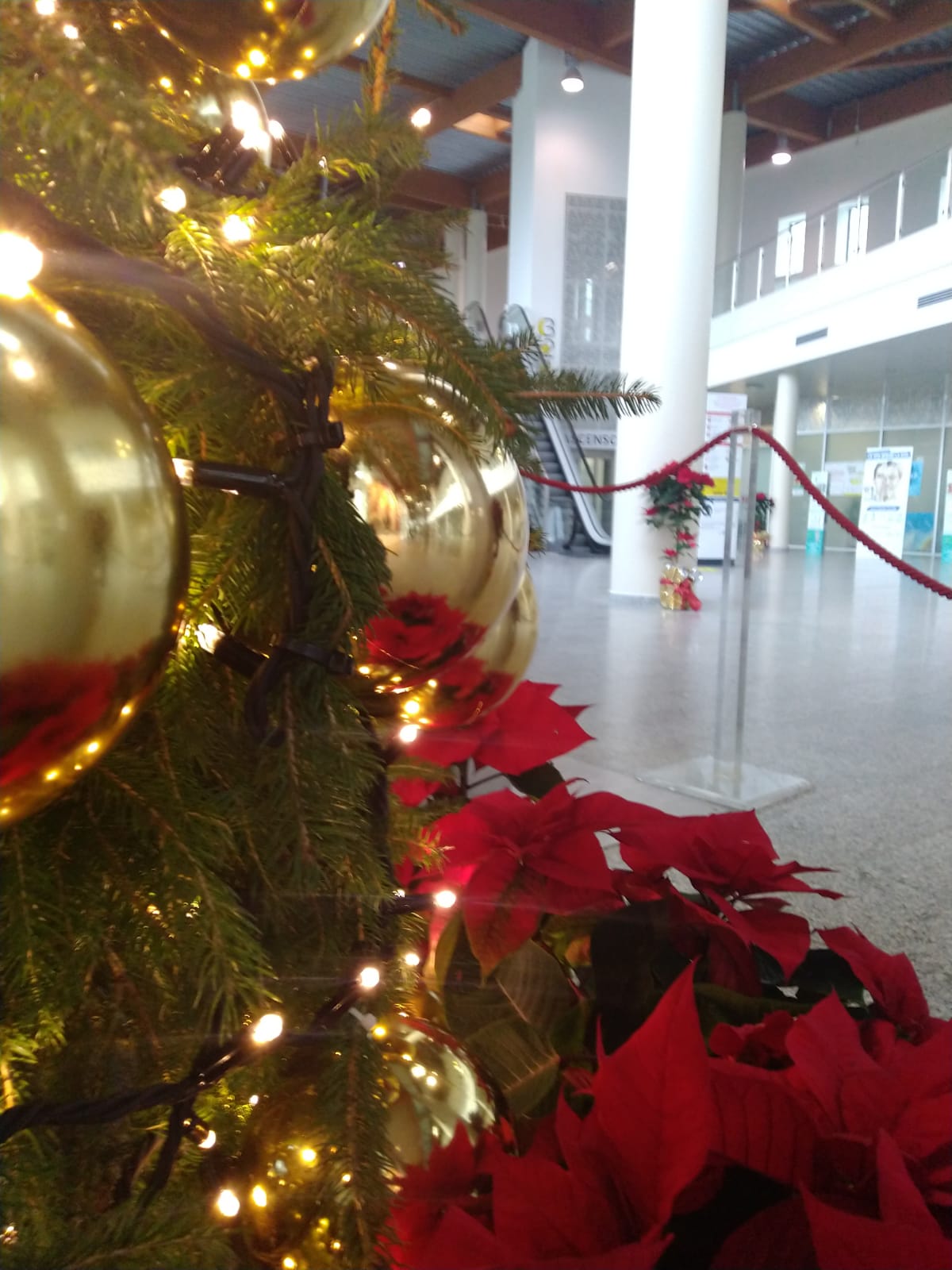 UN MARE DI GRAZIE PER LE DONAZIONI ALL’OSPEDALE DI CONA DURANTE LE FESTIVITA’ NATALIZIE