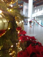 UN MARE DI GRAZIE PER LE DONAZIONI ALL’OSPEDALE DI CONA DURANTE LE FESTIVITA’ NATALIZIE