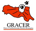 gracer_new.jpg