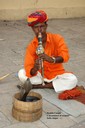 L'incantatore di serpenti - India Jaipur