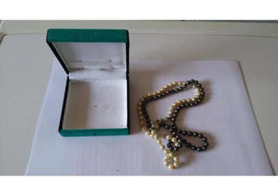 Foto preziosi  PDF 2 parte_Pagina_01.jpg