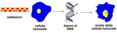 dna radioterapia oncologica
