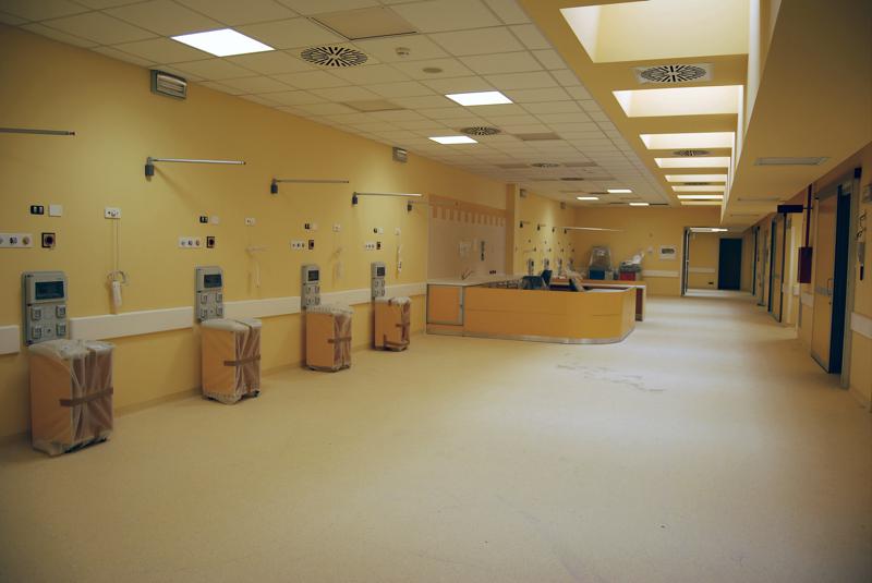 diagnostica Endoscopica 