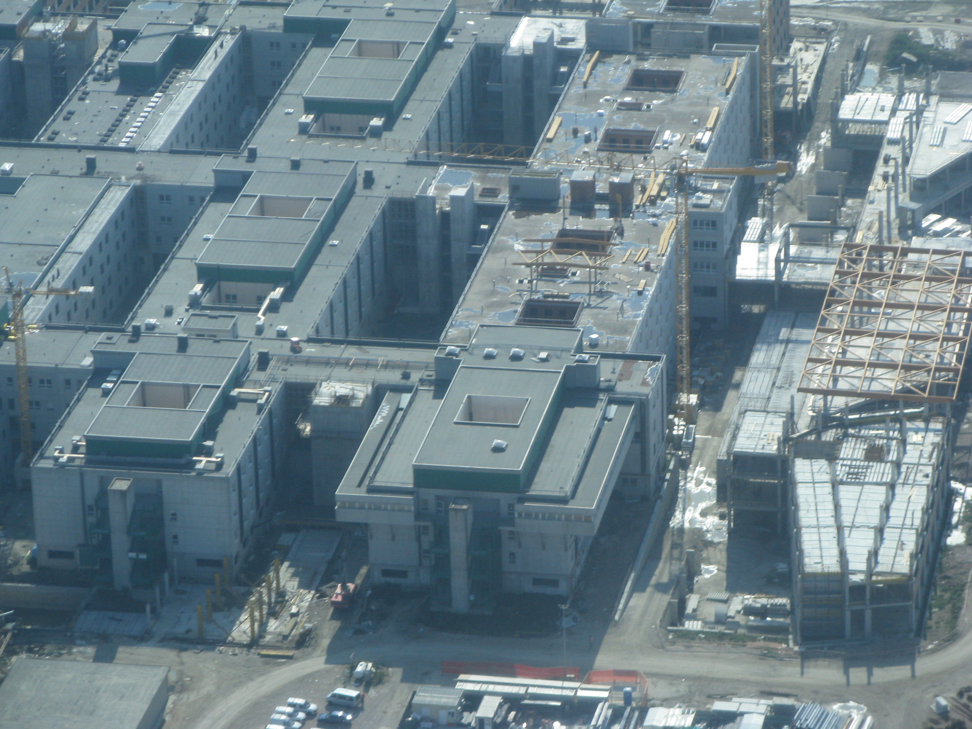 copia di img_0178.jpg