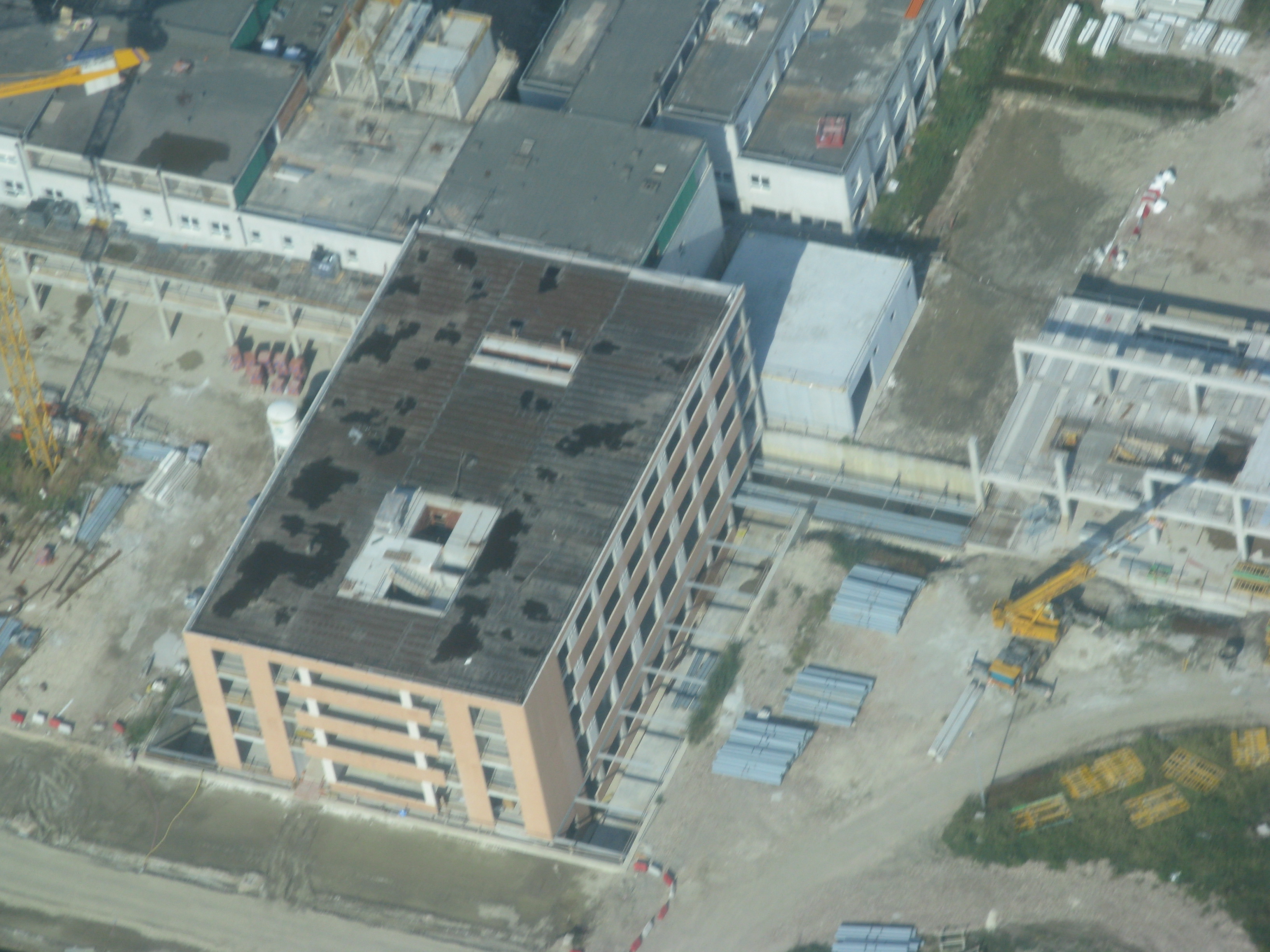 copia di img_0196.jpg