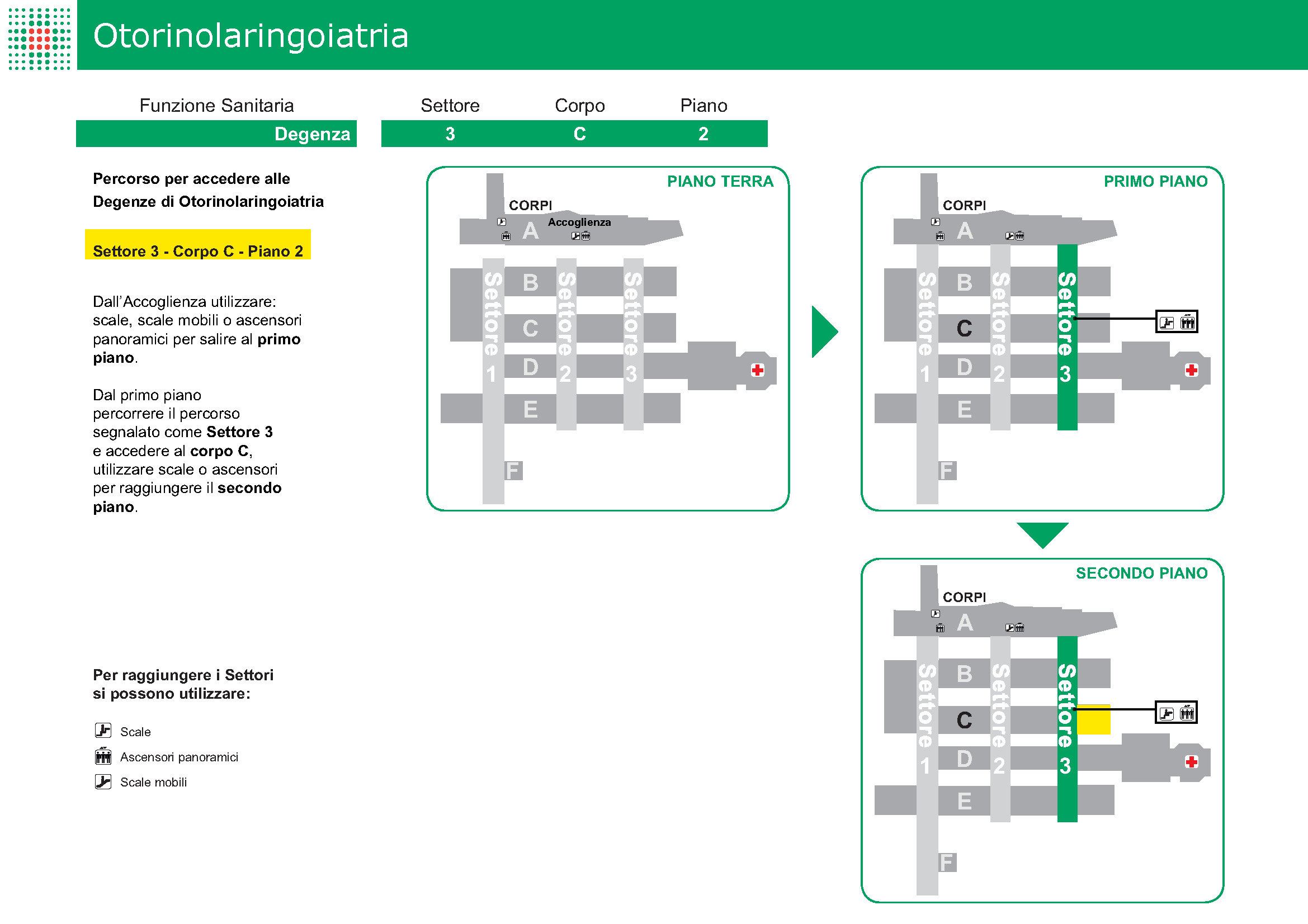 OTORINOLARINGOIATRA - 3C2.jpg
