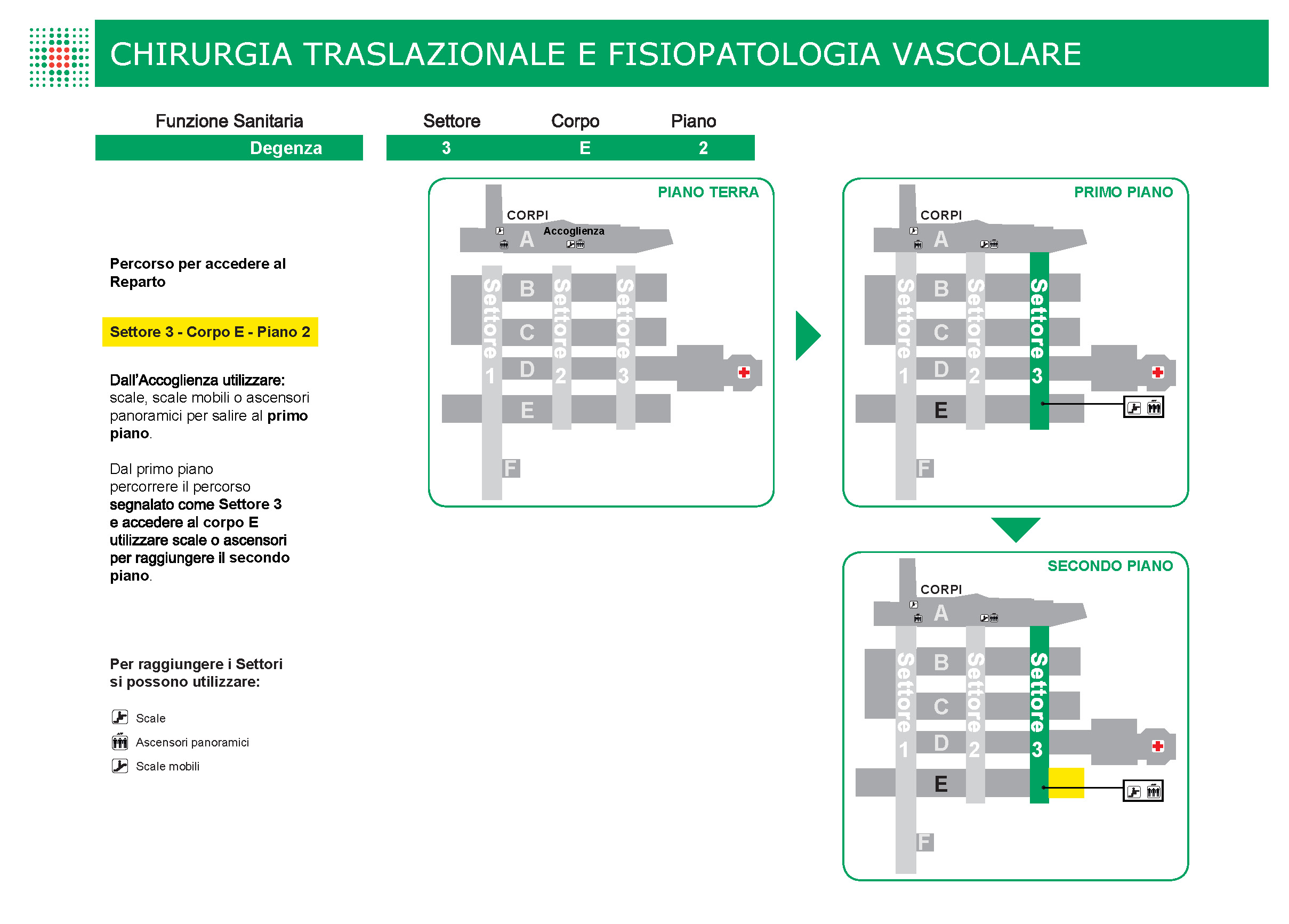 CHIRURGIA TRASLAZIONALE e FISIOPATOLOGIA VASCOLARE 3E2.jpg