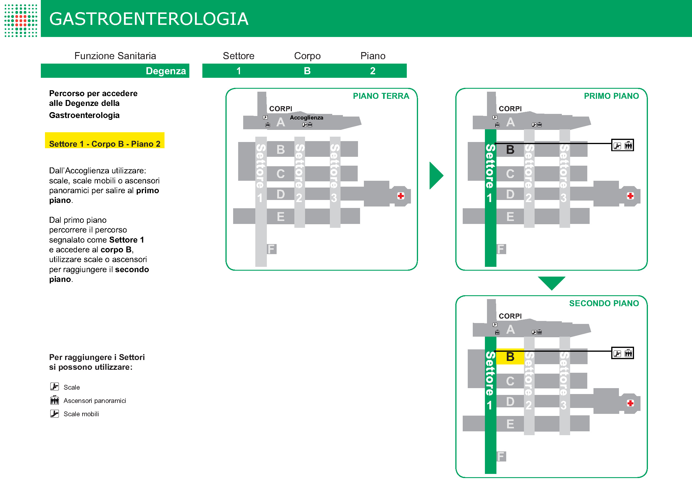 GASTROENTEROLOGIA - 1B2.jpg