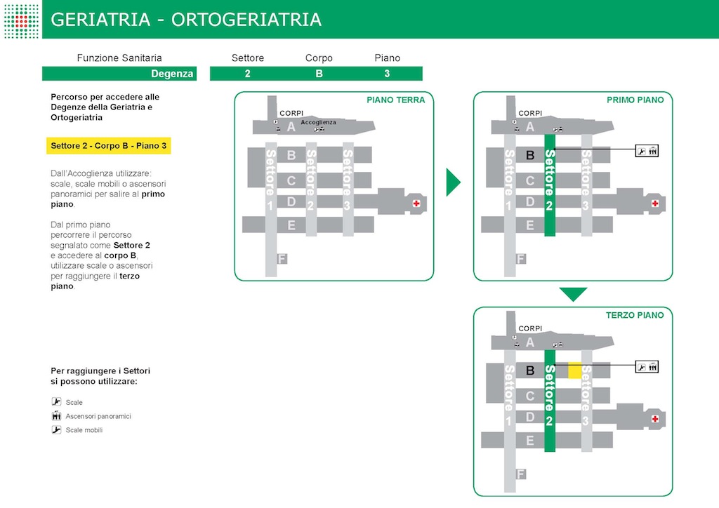 GERIATRIA ORTOGERIATRIA 2B3