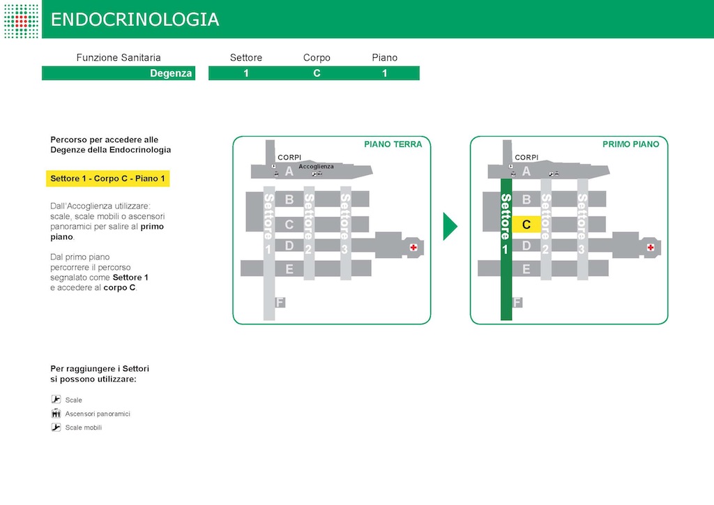 ENDOCRINOLOGIA E MALATTIE DEL RICAMBIO 1C1